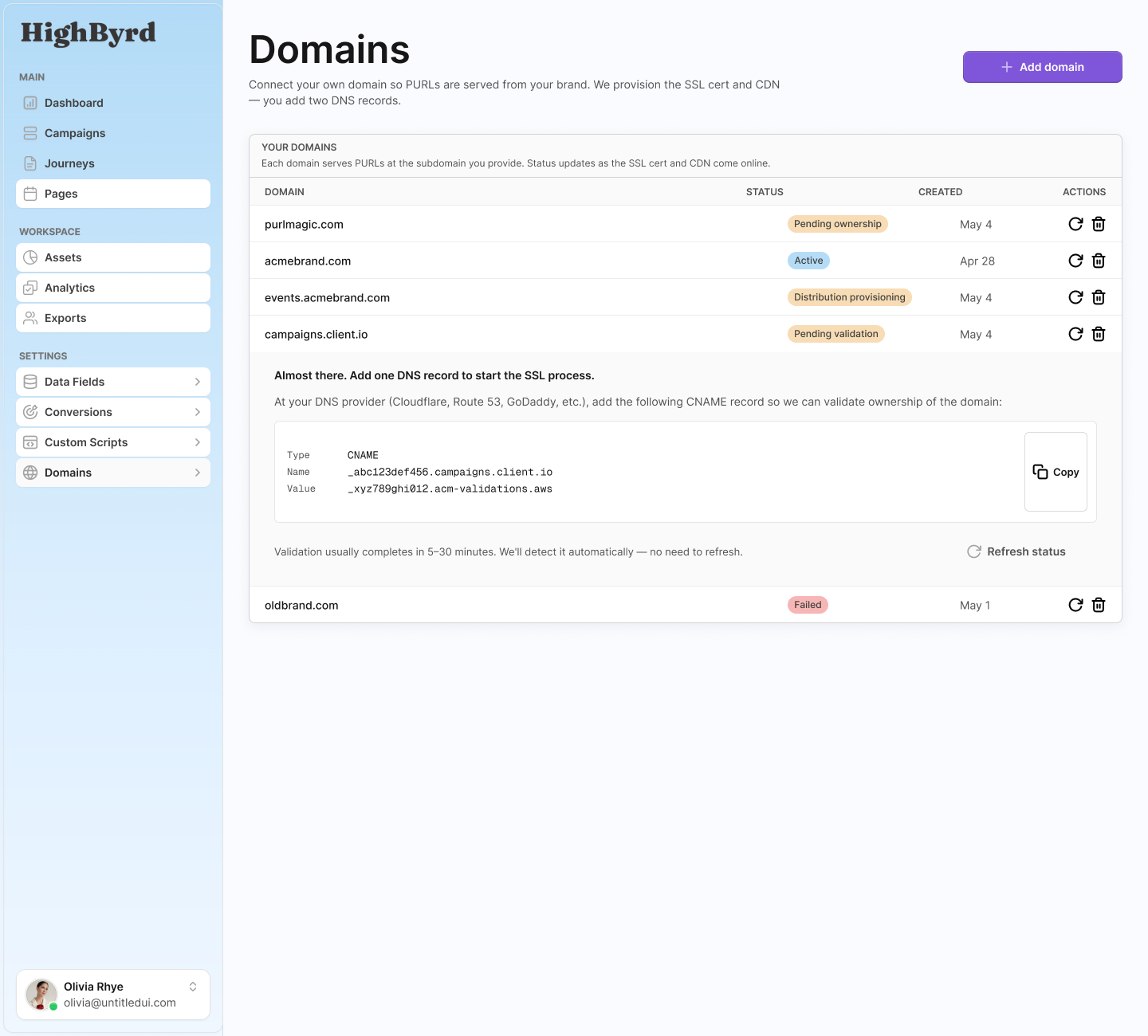 Custom domains in HighByrd settings